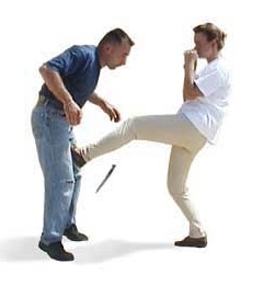 groin kick