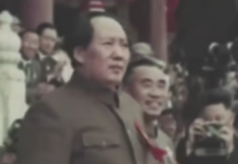 REAL WORLD Gun Control Results That The Left Won’t Talk About